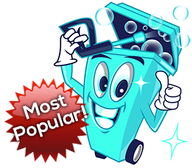 Most Popular Bin Cleaning Service